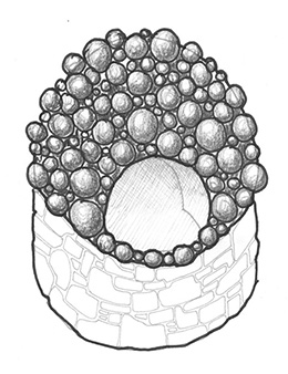 cob oven bubbles